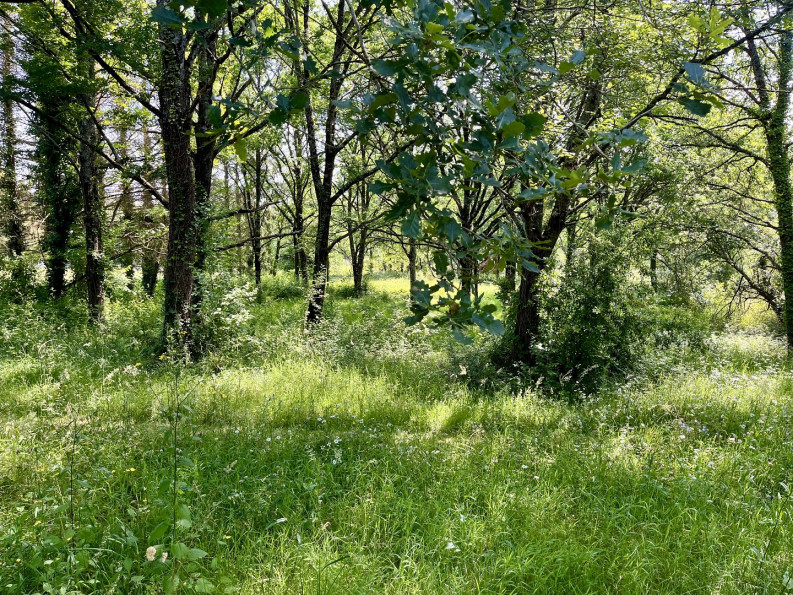 vente Maison Queaux - Photo 19