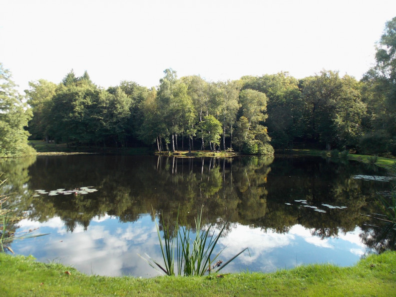 sale Propriété Marval - Photo 19