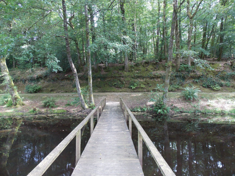 sale Propriété Marval - Photo 11