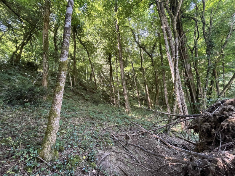 sale Maison Darnac - Photo 5