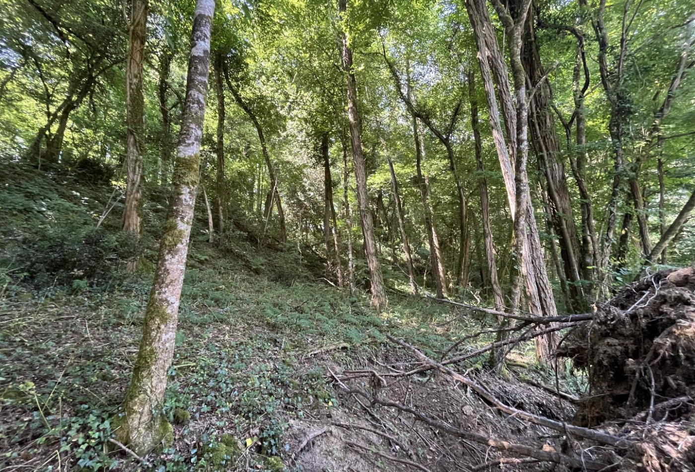 vente Maison Darnac - Photo 5