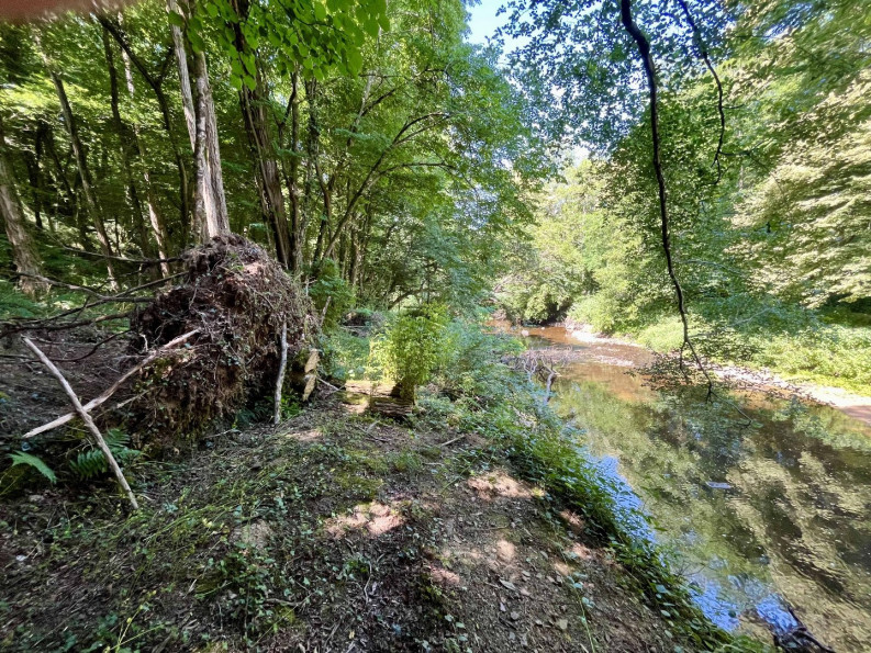 vente Maison Darnac - Photo 4