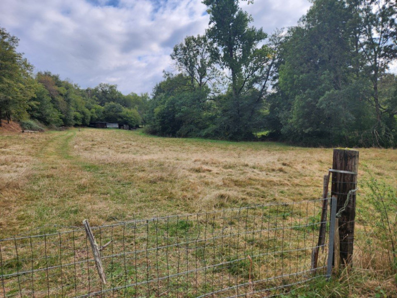 sale Maison Hiesse - Photo 17