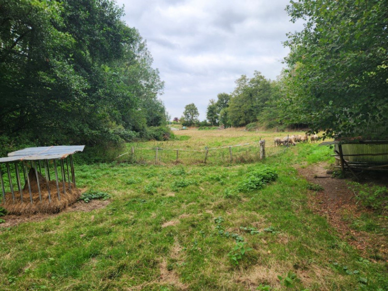 sale Maison Hiesse - Photo 19