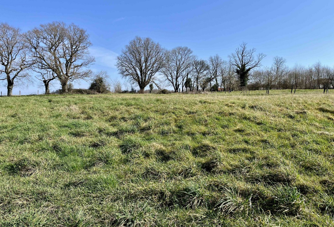 vente Maison Le Vigeant - Photo 6