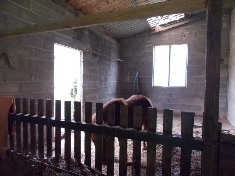 sale Maison de campagne Cussac - Photo 12