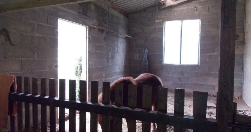 vente Maison de campagne Cussac