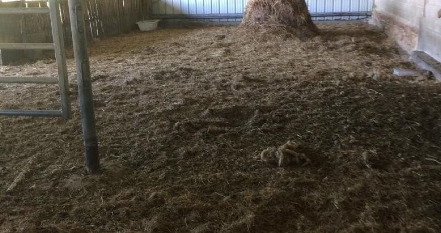 vente Corps de ferme Marval