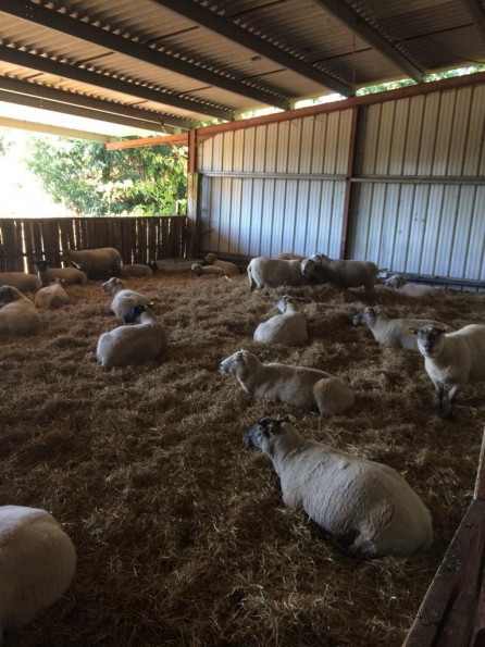 vente Corps de ferme Marval - Photo 17