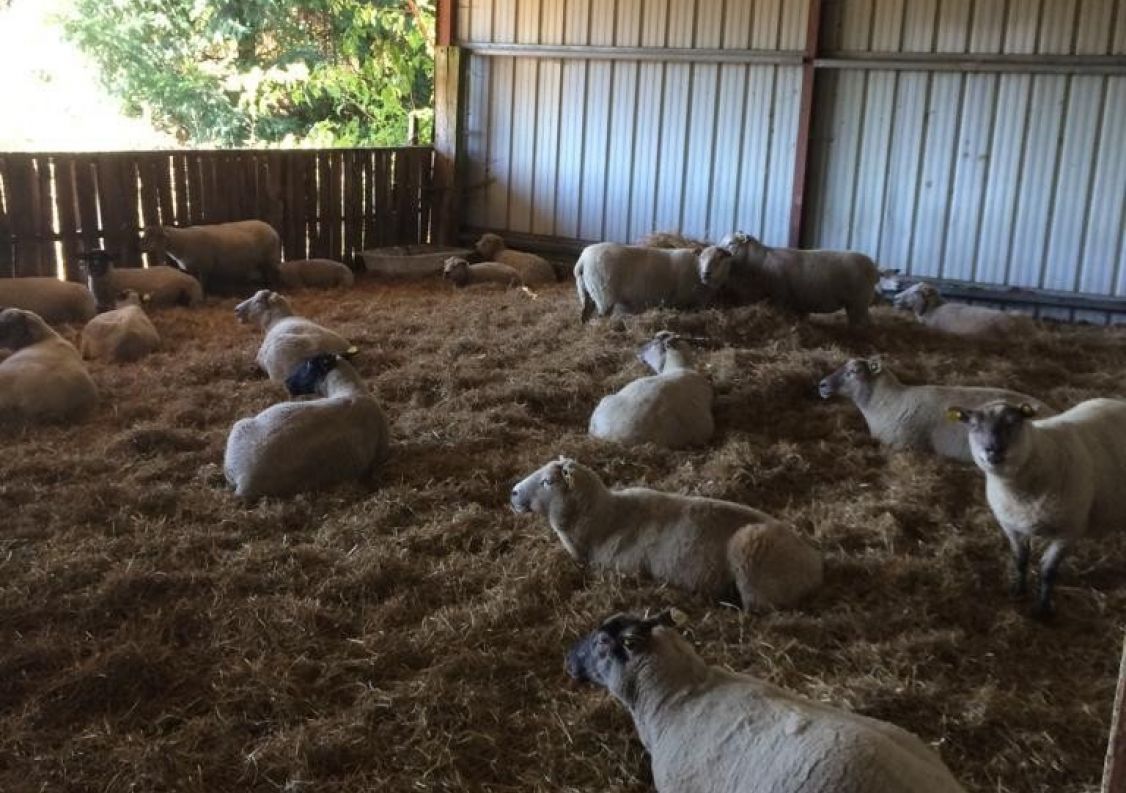 vente Corps de ferme Marval