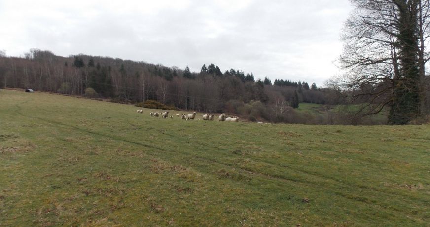 vente Corps de ferme Marval