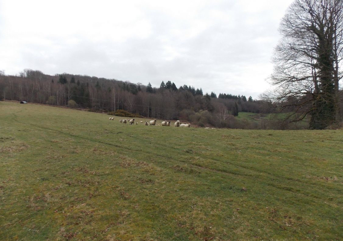 vente Corps de ferme Marval