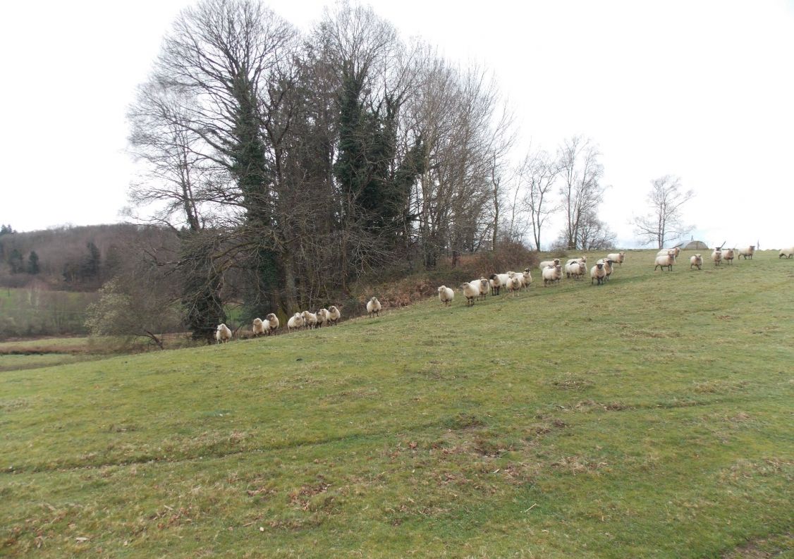 vente Corps de ferme Marval