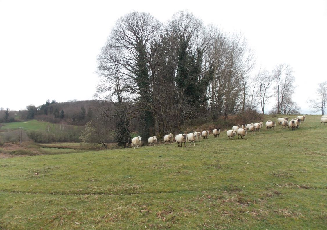 vente Corps de ferme Marval