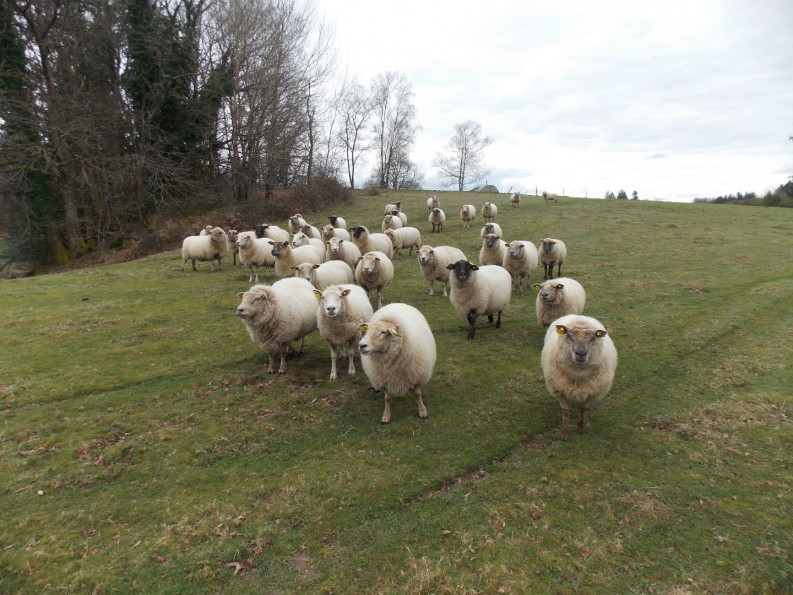 vente Corps de ferme Marval - Photo 1