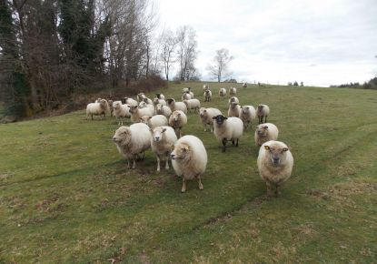 vente Corps de ferme Marval