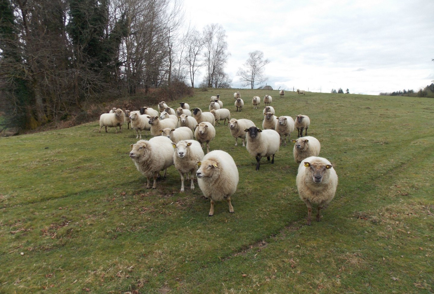 vente Corps de ferme Marval - Photo 1