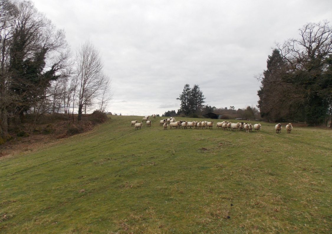 vente Corps de ferme Marval