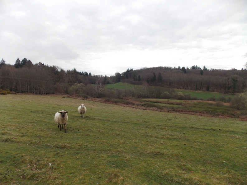 vente Corps de ferme Marval - Photo 11