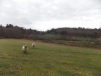 vente Corps de ferme Marval