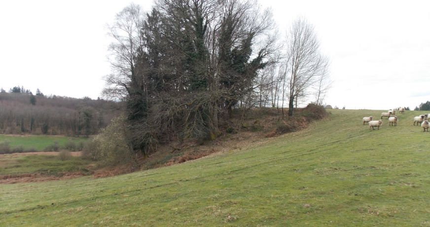 vente Corps de ferme Marval