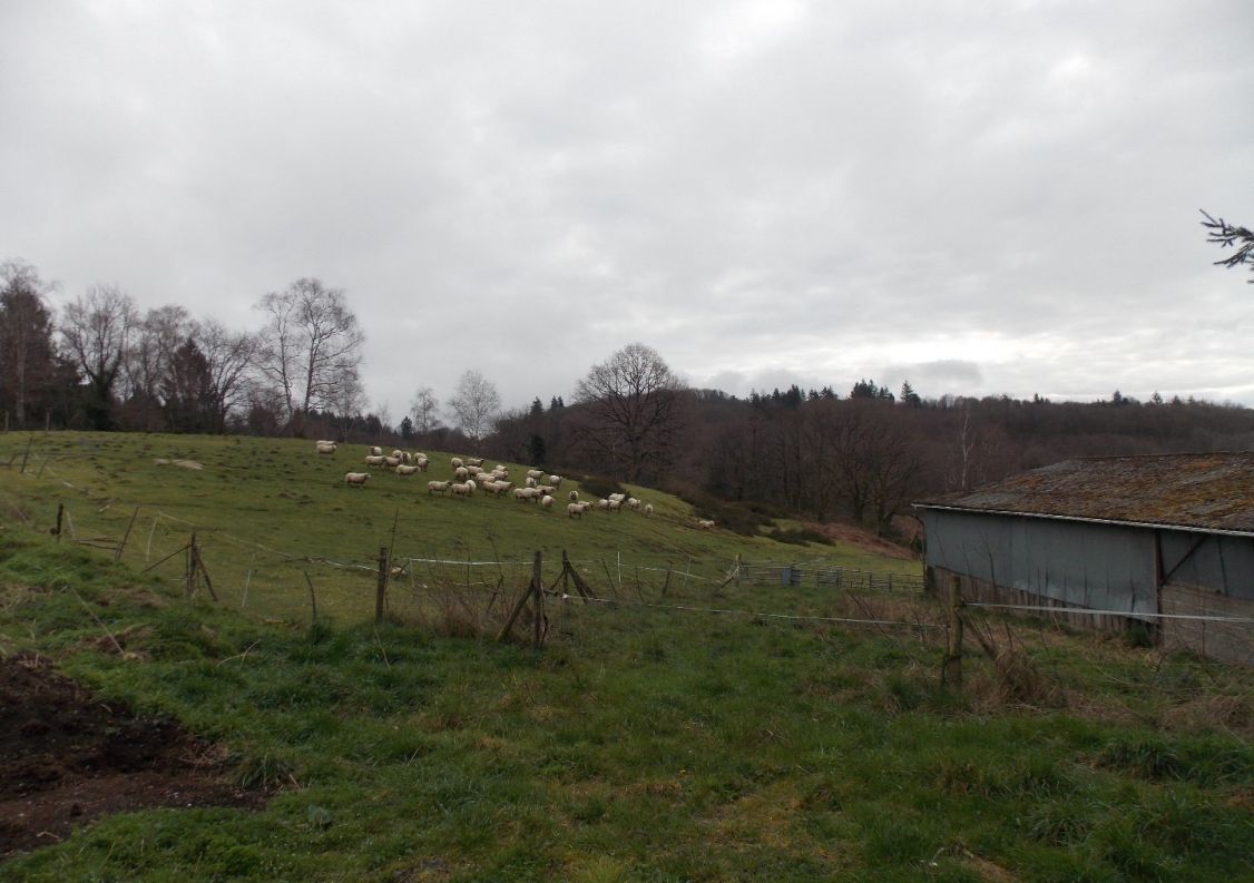 vente Corps de ferme Marval