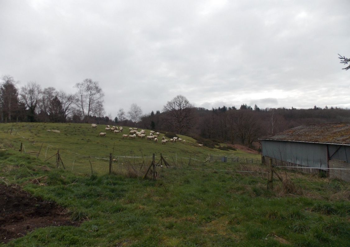 vente Corps de ferme Marval