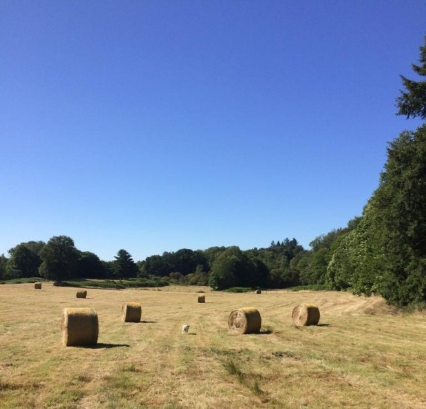 vente Corps de ferme Marval - Photo 4