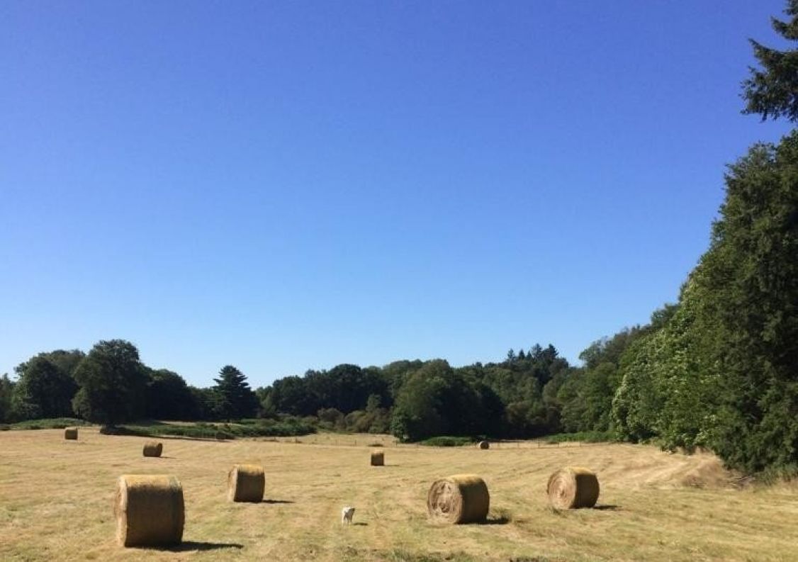vente Corps de ferme Marval