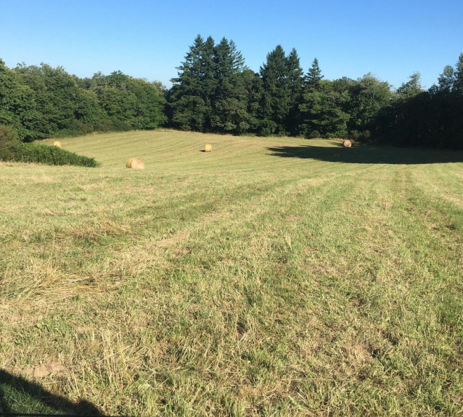 vente Corps de ferme Marval - Photo 2