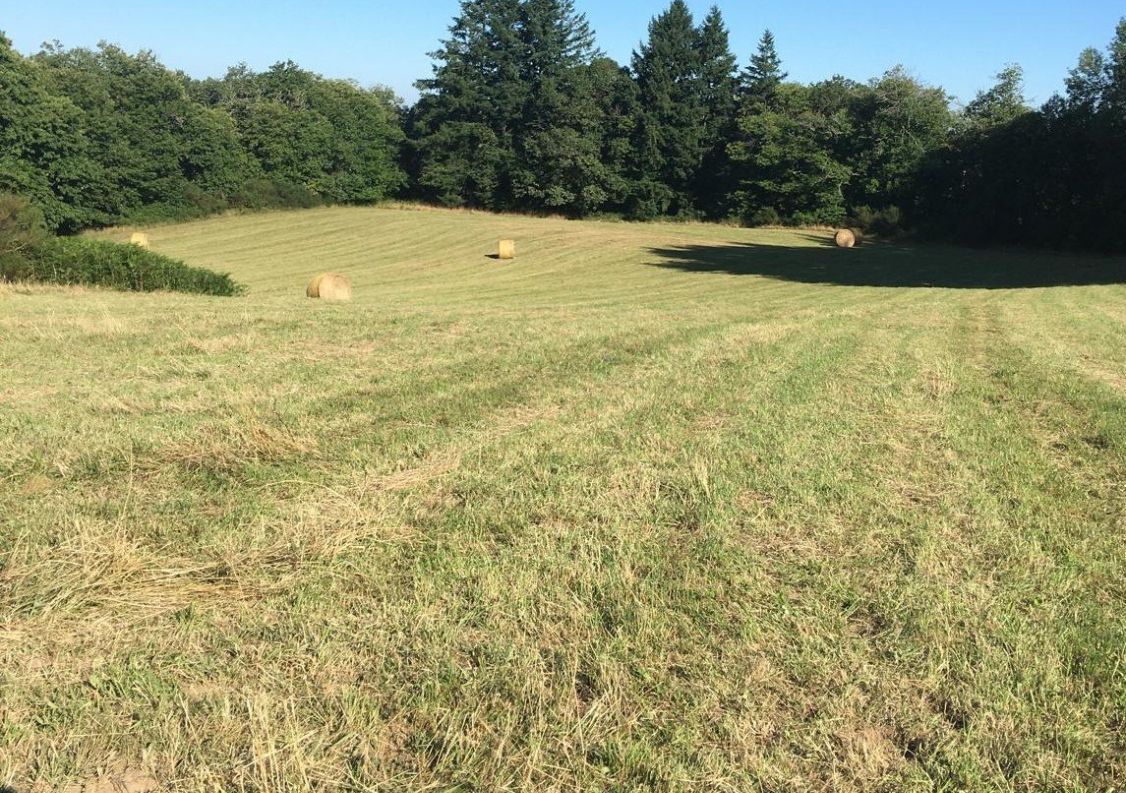 vente Corps de ferme Marval