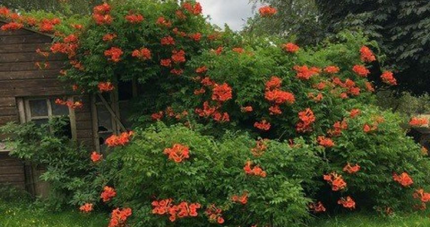 vente Corps de ferme Marval