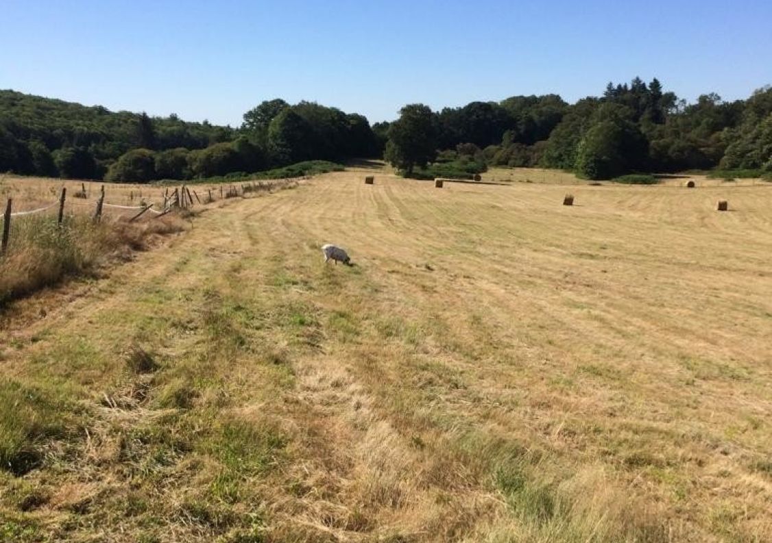 vente Corps de ferme Marval