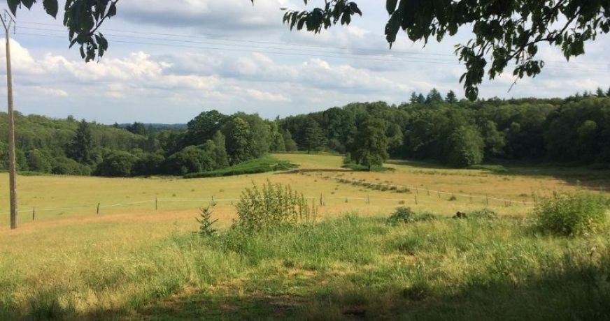 vente Corps de ferme Marval