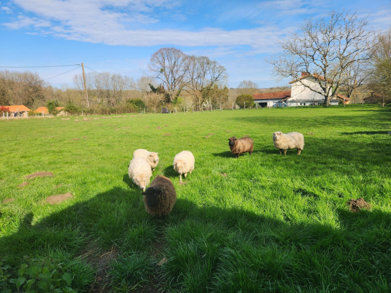sale Maison de caractère Roumazieres Loubert - Photo 11