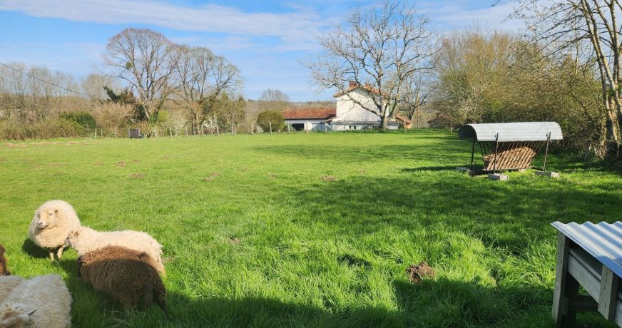 vente Maison de caractère Roumazieres Loubert