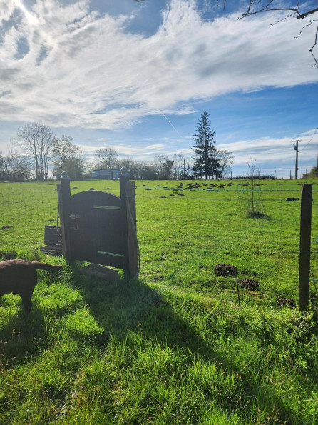 sale Maison de caractère Roumazieres Loubert - Photo 13