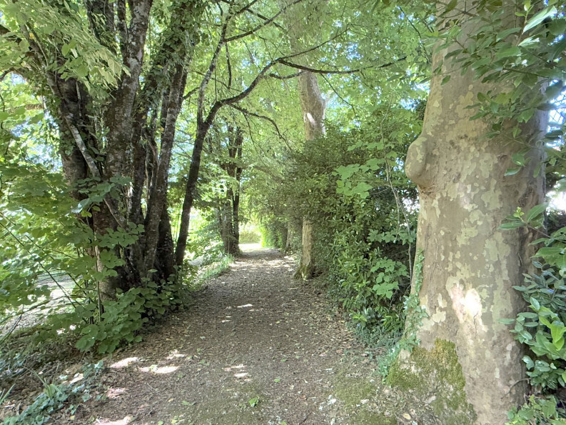 vente Maison Nontron - Photo 6