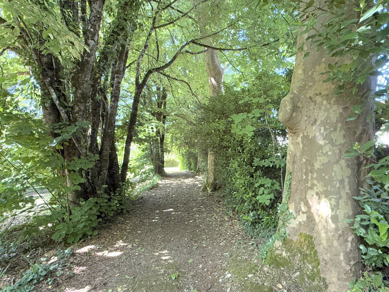 sale Maison Nontron - Photo 6