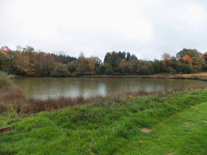 sale Corps de ferme Cussac - Photo 6