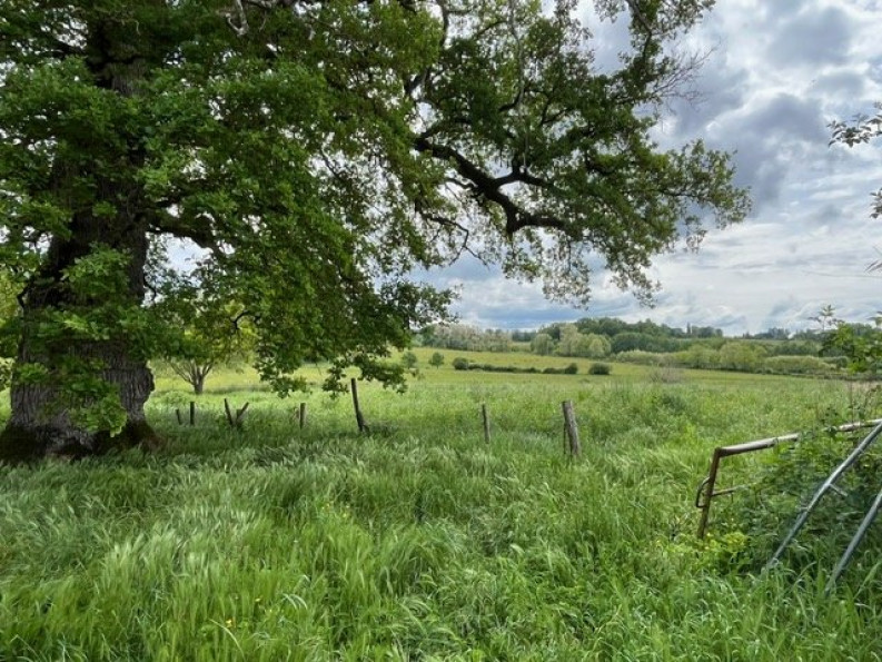 vente Corps de ferme Vayres - Photo 5