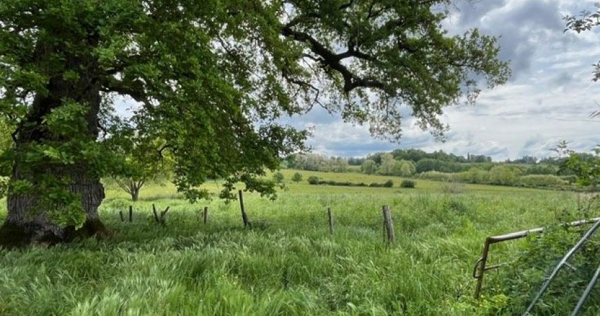 vente Corps de ferme Vayres