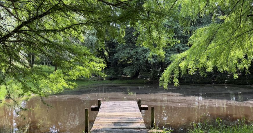 vente Maison Sarrazac