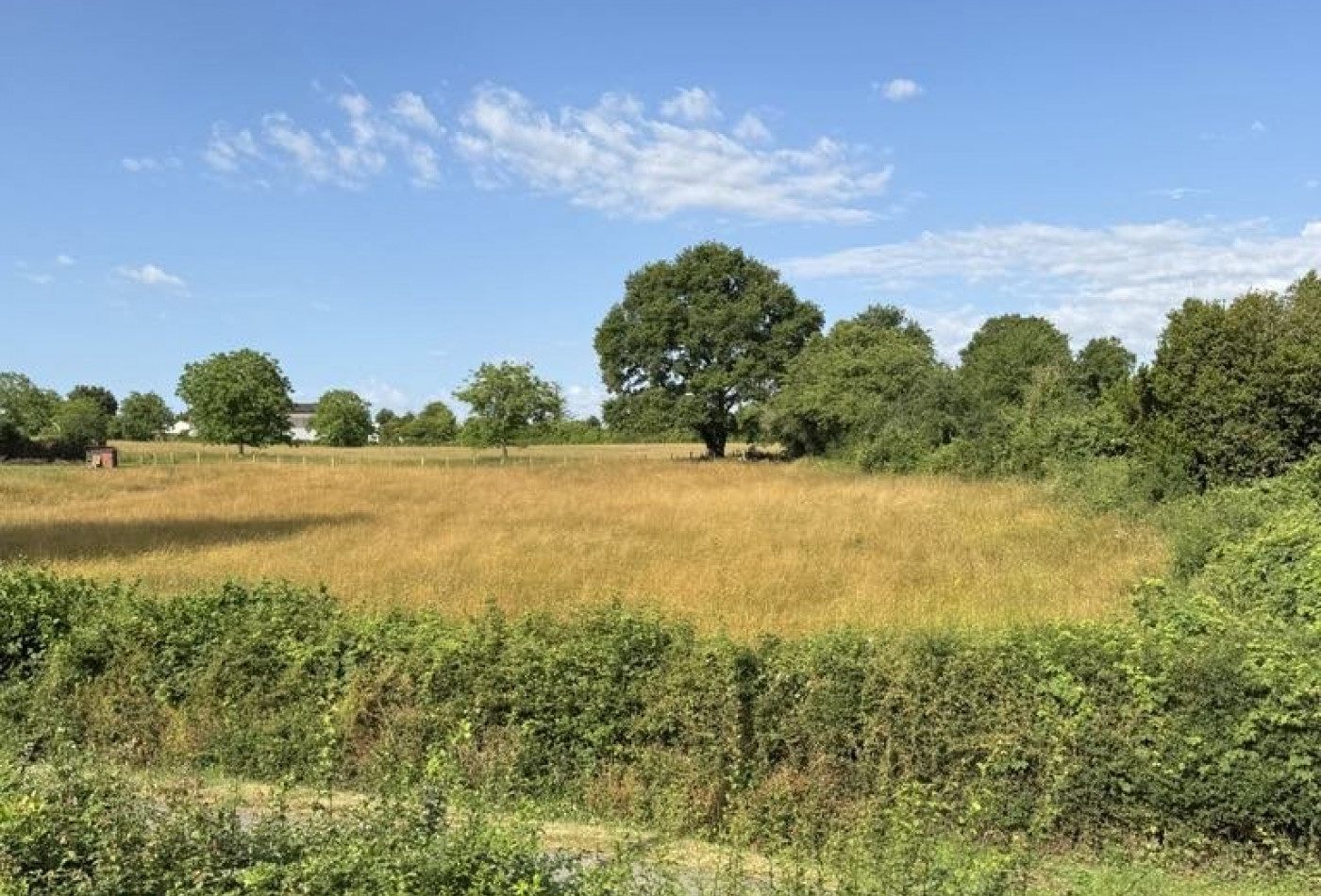 vente Maison Chatain - Photo 4