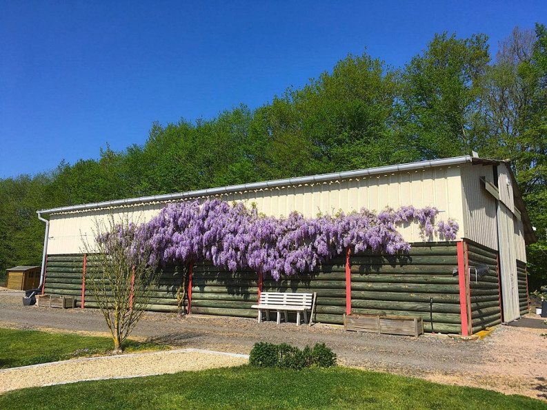 vente Maison Chabanais - Photo 18