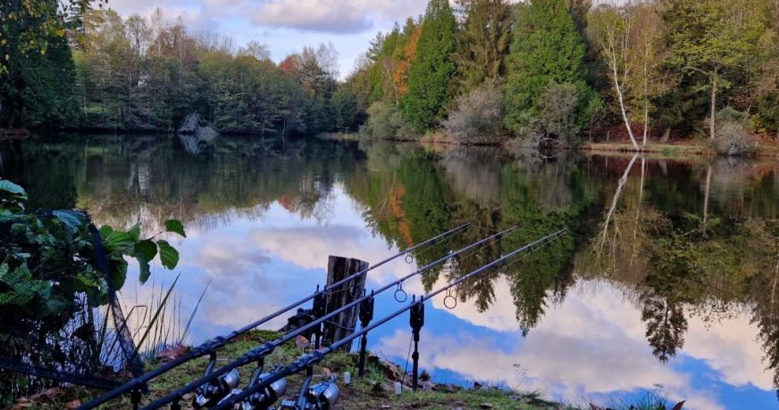 vente Etang La Chapelle Montbrandeix