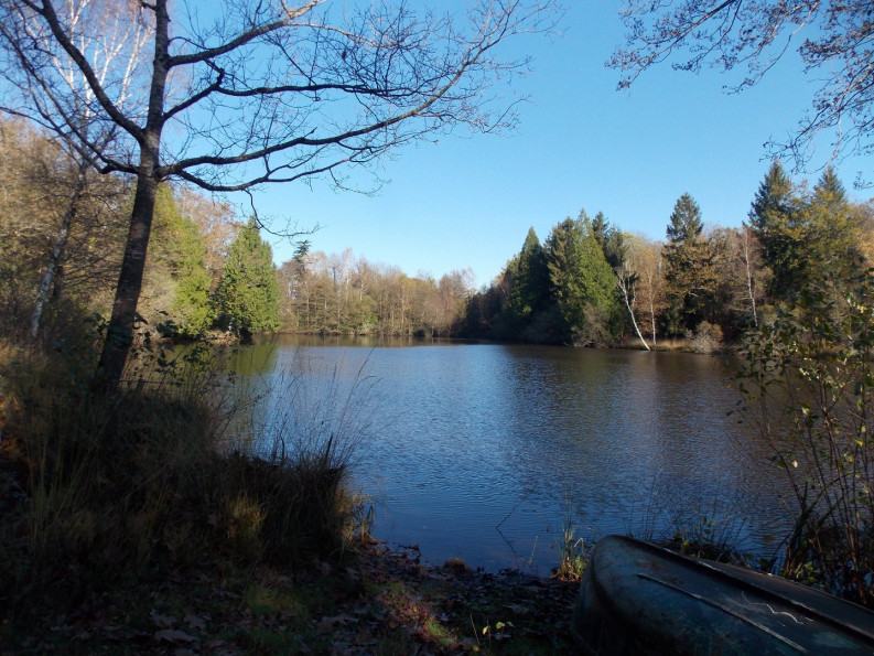 vente Etang La Chapelle Montbrandeix - Photo 5
