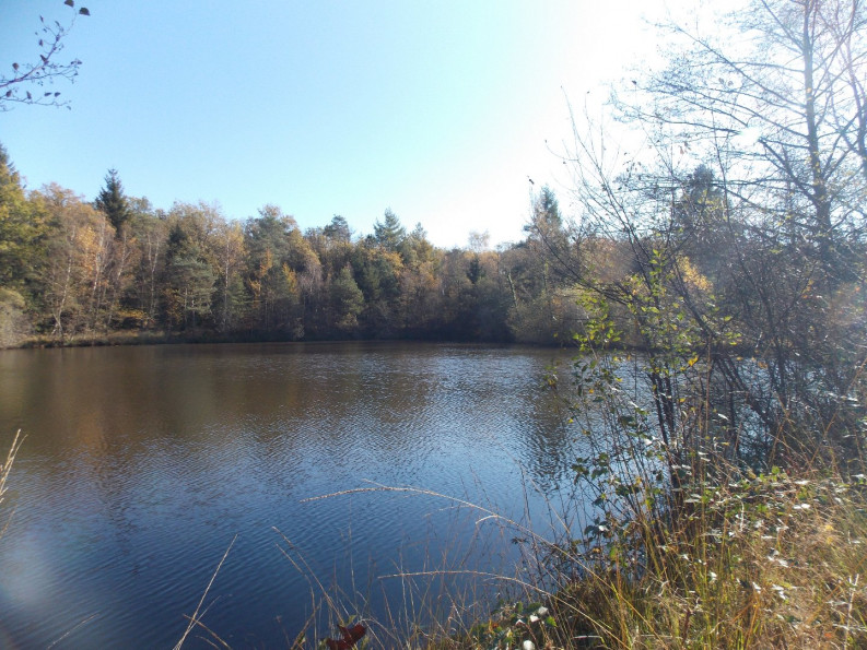 vente Etang La Chapelle Montbrandeix - Photo 2