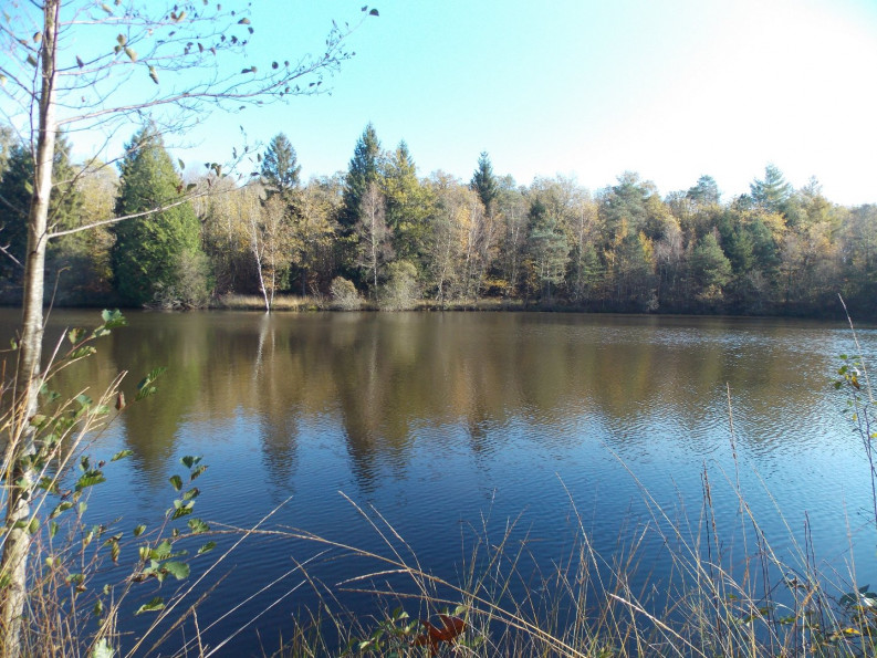 vente Etang La Chapelle Montbrandeix - Photo 1
