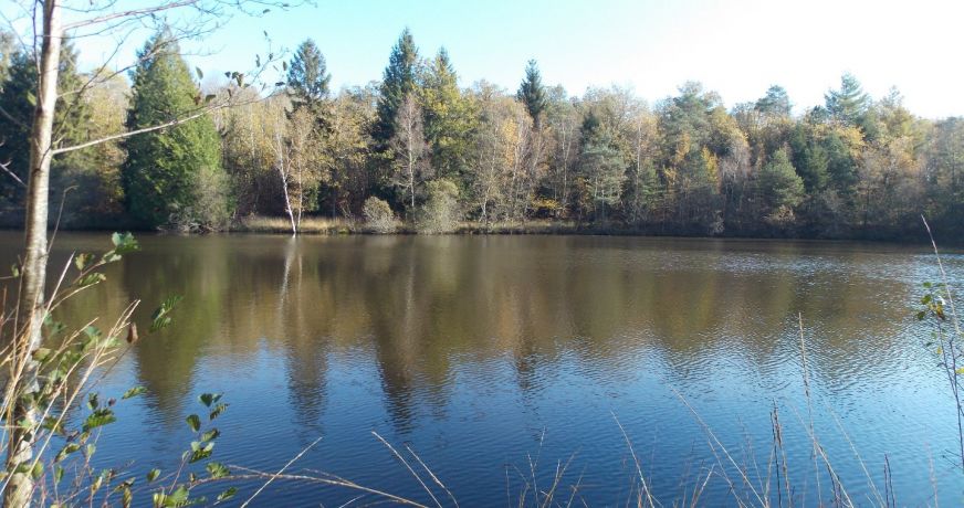 vente Etang La Chapelle Montbrandeix